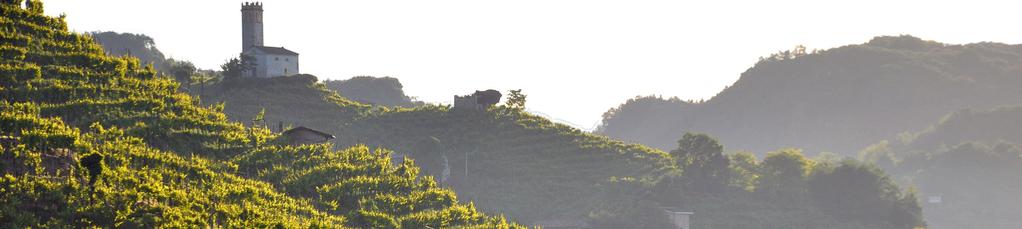 TERRITORIO STUDIO E NATURA E ANALISI 4 Le colline dolci, la natura rigogliosa e le produzioni tipiche rendono il