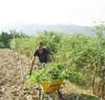 Dopo il bagnetto, sul pancino e piedi anche per favorire sonni sereni.