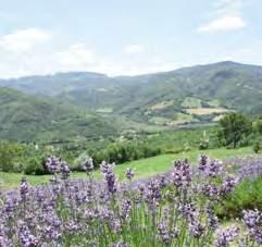 :) SOFFIO DI PRIMAVERA DOLCEZZA è la prima parola che mi viene in mente se penso a