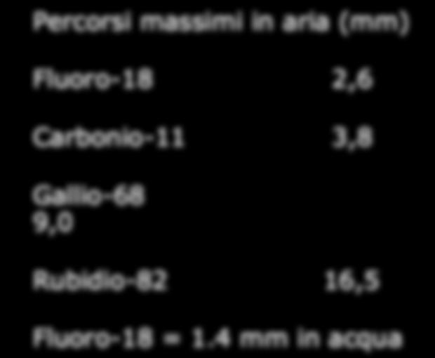 moltiplicativo (da Budinger 1995, mod) 1.3 mm cranio 2.1 mm cuore 0.5 mm 18 F 4.