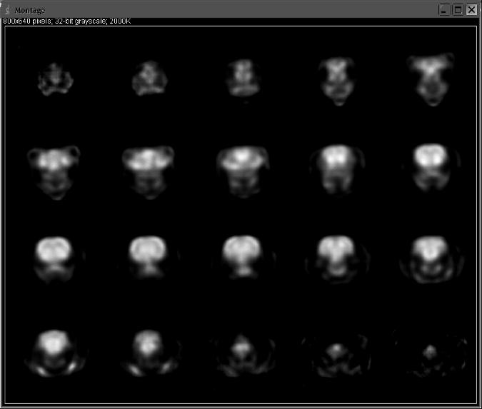 Imaging sperimentale Imaging