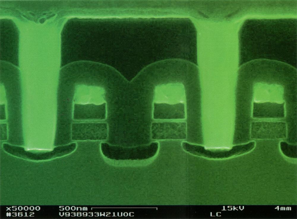 Celle di memoria Flash Immagine al microscopio elettronico a scansione che