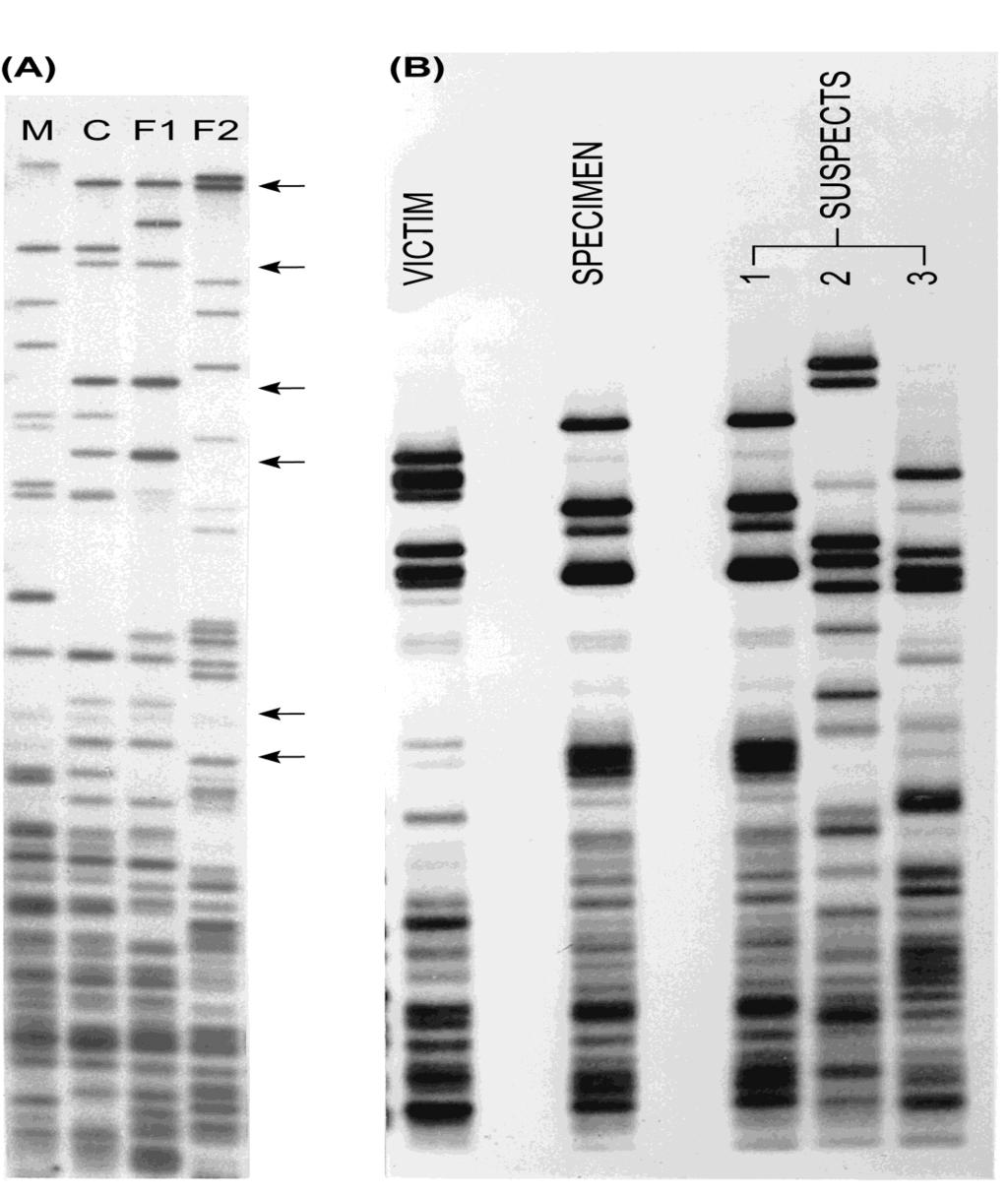 Fingerprint del DNA Test