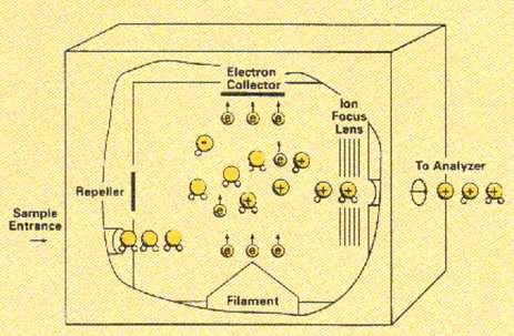 5 Figura 3 Applicando questa tecnica viene prodotta una miscela di ioni positivi, ioni negativi e specie neutre bombardando le molecole gassose con elettroni aventi una energia di 70 ev, ossia una