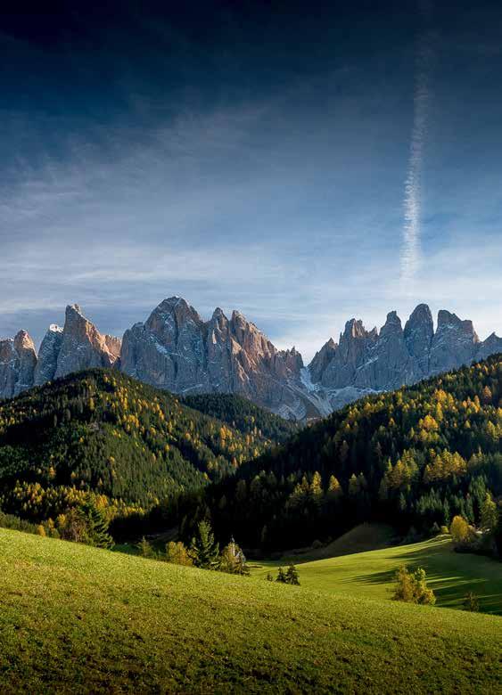 CONVEGNO Aziende Agricole Locali Qualità e Benessere Sabato 29 Luglio