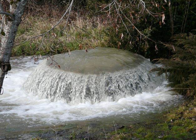 3.2 La risalita di acqua dal sottosuolo Nella Pianura Padana, al confine tra l alta e la bassa pianura, si verifica la risalita in superficie di acqua dal sottosuolo.