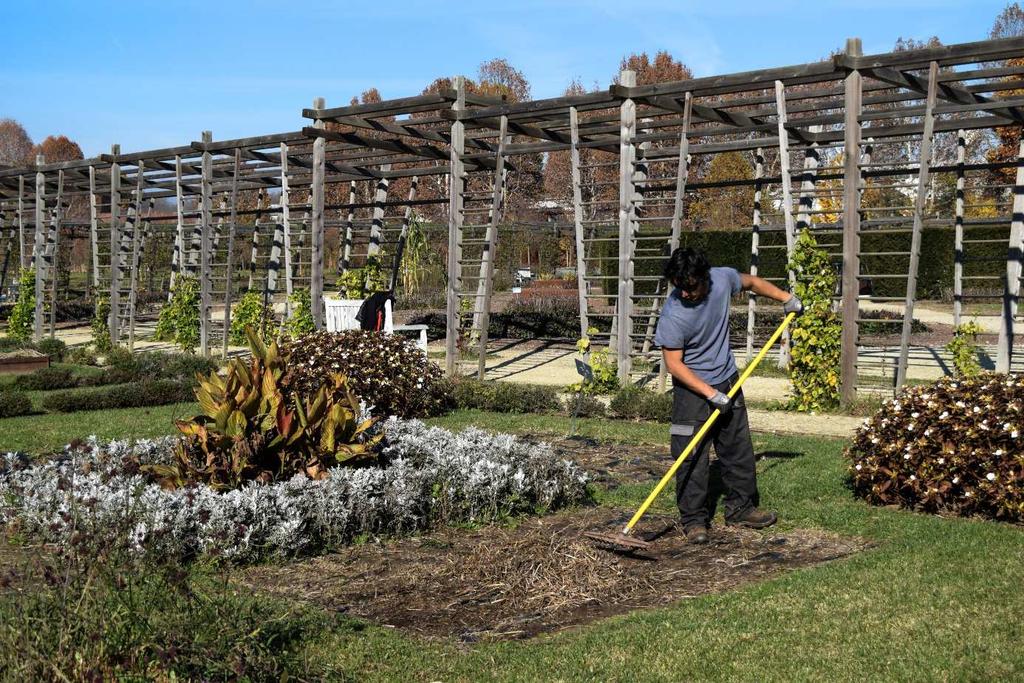 3 Risale al 2010 l idea di un corso di formazione professionale per Giardiniere d arte, riferito alla cura del verde di giardini e parchi storici.