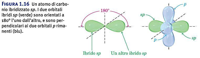 Negli ALCHINI l atomo di carbonio è ibridizzato sp.