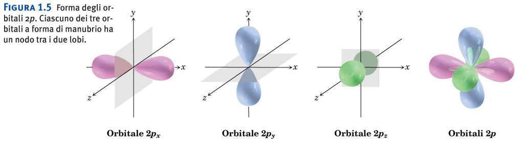 Forma degli orbitali 2p. Gli orbitali p sono orientati nello spazio lungo direzioni perpendicolari fra loro, px, py e pz.