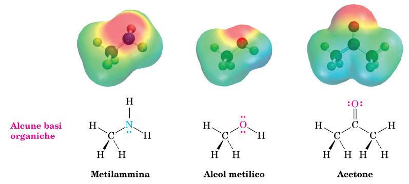 Alcune basi organiche. L alcol metilico e l acetone si comportano da basi quando il loro atomo di ossigeno accetta un protone.