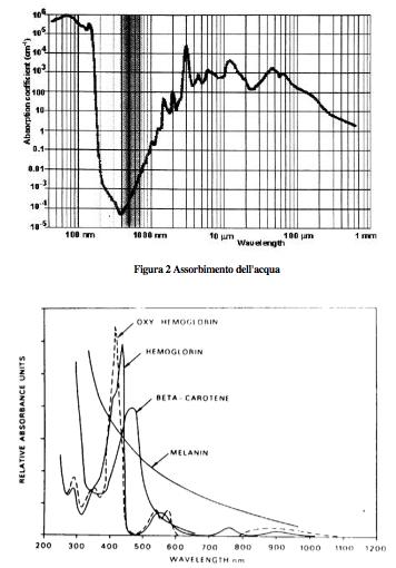 Coefficiente assorbimento tessuo: 1000 nm (IR) 190 nm (VUV)