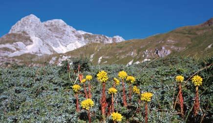 27 26 DOMENICA Capriola - M.te Rotondo (Barrea) Partenza: ore 8.30 dalla diga lago di Barrea Decontra Stazzo Vallone Rosso Un giorno da Aquile Partenza: ore 8.