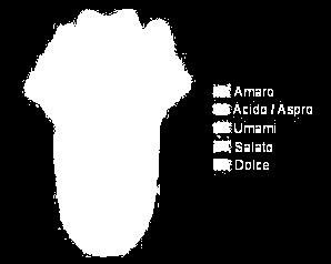 secco grasso, pastoso, rotondo, poco morbido, carente L acidità: tartarico (più duro), malico (più aspro), citrico (più