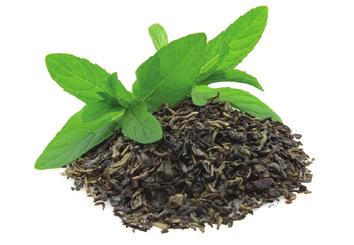 TÈ VERDE SAMBUCO Il tè verde è molto più di una semplice bevanda. Può essere considerato come un vero e proprio medicinale naturale.