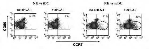 chemochine prodotte a livello linfonodale (Mailliard RB, 2005; Agaugue S, 2008).