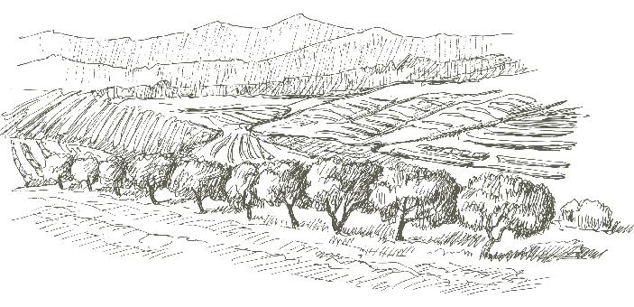 olivicolo reggino ai piedi dell Aspromonte e si affaccia sulla Piana di Gioia Tauro, tra gli uliveti secolari di Ottobratica, Tombarello, Ciciarello e gli impianti più recenti con le varietà di