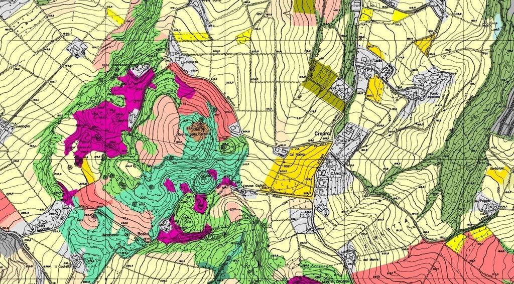 Database della vegetazione del Parco regionale dei Gessi Bolognesi e Calanchi