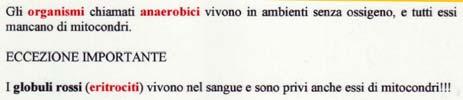 Conversione di energia (1) *l ambiente in assoluto più ossigenato, se sangue arterioso * Mediante una serie di reazioni che si svolgono nel citosol, l energia derivata dalla parziale ossidazione