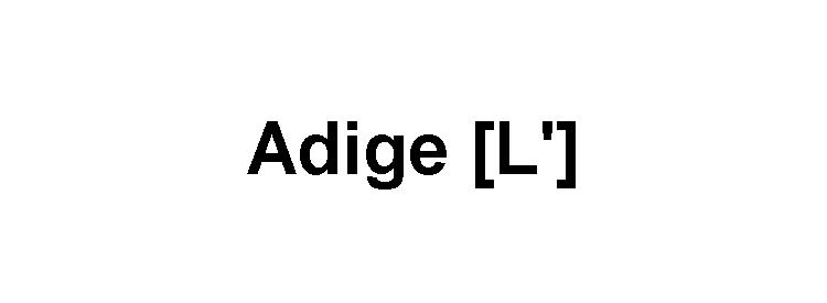 Allugurzion rno prsnti nch cognt i nipoti dlrtist. Crlo SrtoriL vit, ntur volto, nsc dl colborzion tr prsidnz dl Consiglio provcil, Trnto Fm Fstivl (ch comcrà domni) gllri Spzio dll Arti Trnto.