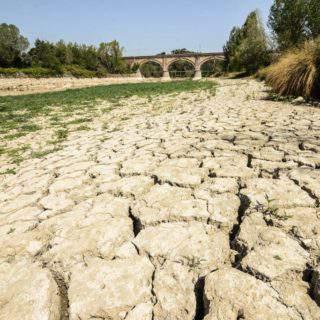 SICCITA, E ALLARME PER L AGRICOLTURA UMBRA PER CIA URGENTE L INSERIMENTO DELL UMBRIA TRA LE REGIONI COLPITE.