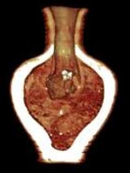 Ricerca teorica e applicata allo studio di sistemi complessi.