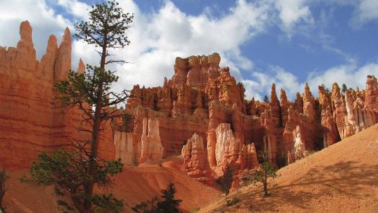 Paccetto L Oro Dell Ovest 9 Giorni/8 Notti I canyon più suggestivi dell Arizona, la leggendaria e multi-culturale Los Angeles e l elettrizzante e sempre viva Las Vegas!