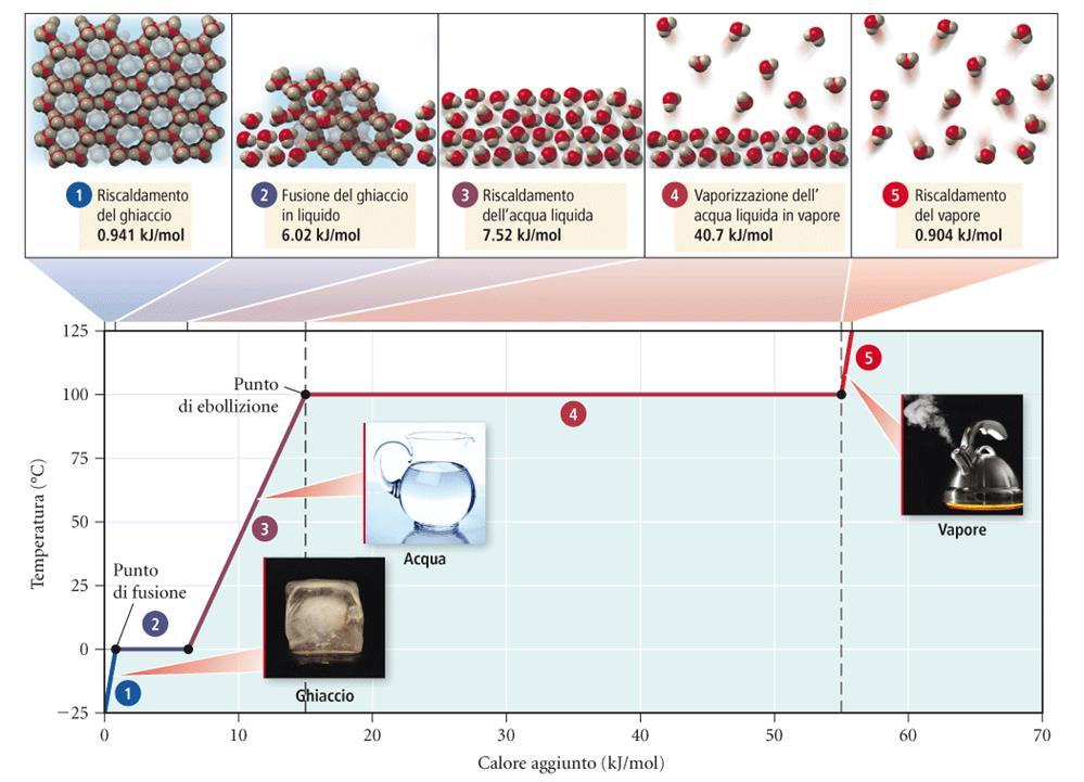 sodio metallico: formato da ioni Na + circondati dagli eletttroni (uno per ciascun Na + ) sparsi nell intero solido.