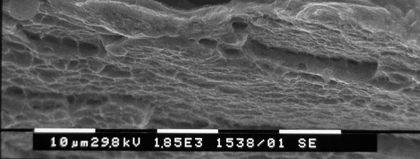 La densità delle cricche (Den, espressa in cricche/mm) diminuisce con l aumentare della velocità di deformazione (Vel), risultando ancora maggiore di zero anche per la massima velocità di