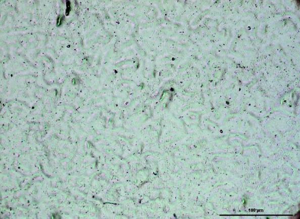 riportata una metallografia dalla quale è stato possibile valutare la grandezza media dei grani pari a 35 m.