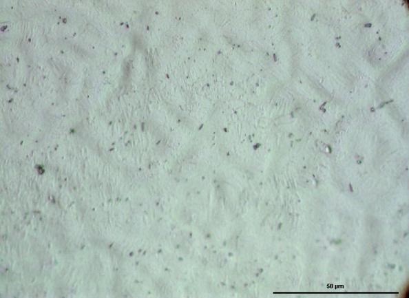 largo solo 1mm), sia per effetti dovuti al flusso instabile dell elettrolita causato della geometria del tratto utile.