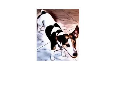 14 aprile 2016 sentieri IT Sentieri bollenti (sentieri) Limite di tempo: 2 secondi Limite di memoria: 256 MiB Di coltà: 1 Mojito, il piccolo cane Jack Russell mascotte delle OII, ha accompagnato