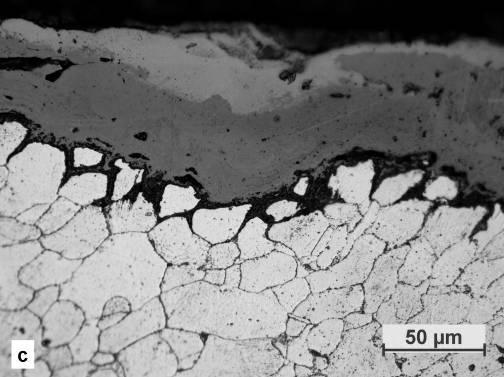 Fig. 2 - Micrografie LOM. Sezione radiale del campione 1 (a) superficie esterna; (b) (c) superficie interna; (d).