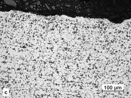 Fig. 3 - Micrografie LOM.