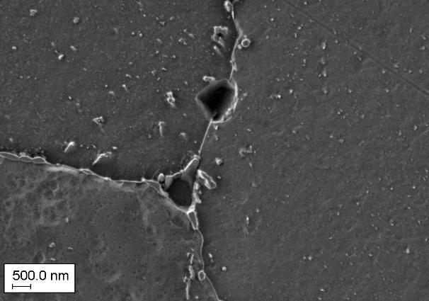 Fig. 5 - Micrografie