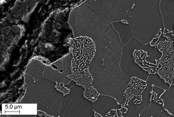 g h Fig. 6 - Micrografie SEM del campione 2: (a) (b) bulk; (c) (d) lamelle perlitiche; (e) (f) superficie esterna; (g) (h) superficie interna.