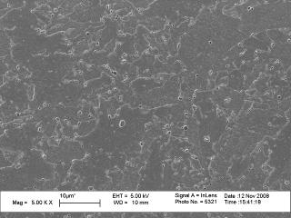 Esame metallografico per replica OSSERVAZIONE AL MICROSCOPIO ELETTRONICO A SCANSIONE Zona Fusa - COLLETTORE