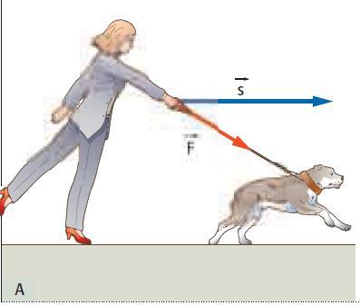 Foza e spostamento non paalleli La foza del cane non è paallela al suo spostamento; pe calcolae il lavoo compiuto dal cane scomponiamo la foza nelle componenti paallela e