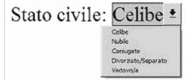 I Moduli Permettono di costruire documenti con campi ad inserimento obbligatorio Permettono di progettare documenti complessi La base per la