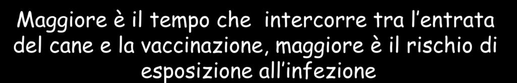 Maggiore è il tempo che