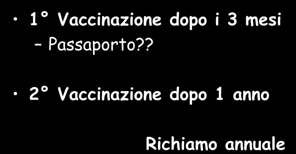 Vaccinazione per la rabbia 1 Vaccinazione dopo i 3 mesi