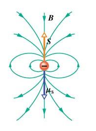 Il magnetismo nella materia Momento magnetico dovuto allo spin µ spin Momento magnetico associato al moto orbitale µ orbitale Negli atomi