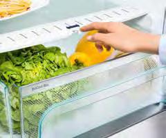 Infatti i congelatori SmartFrost sono dotati di VarioSpace: è possibile rimuovere uno o più cassetti per congelare alimenti di grandi dimensioni.