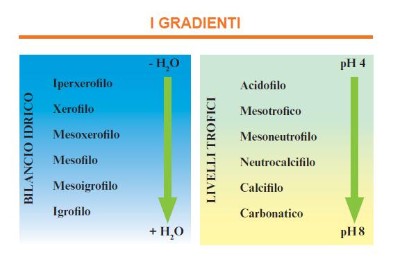 Figura 1 Gradienti che influenzano la composizione del suolo (Fonte: I Tipi forestali della Liguria, 2008) Sono presenti, inoltre, suddivisioni interne ai gruppi in funzione della distribuzione