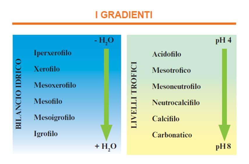 Figura : Gradienti che influenzano la composizione del suolo (Fonte: I Tipi forestali della Liguria, 2008) Sono presenti, inoltre, suddivisioni interne ai gruppi in funzione della distribuzione