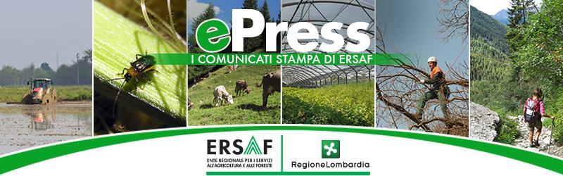 COMUNICATO STAMPA 27 giugno 2017 Prosegue il percorso di CamminaForeste Lombardia 2017 in Provincia di Sondrio.