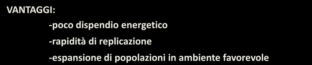 RIPRODUZIONE ASESSUALE VANTAGGI: -poco dispendio energetico