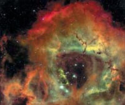 La Testa di Cavallo è una nebulosa oscura, formata da gas e polveri che assorbono la luce proveniente dalla retrostante nebulosa a emissione, composta invece da gas che viene ionizzato dalle giovani