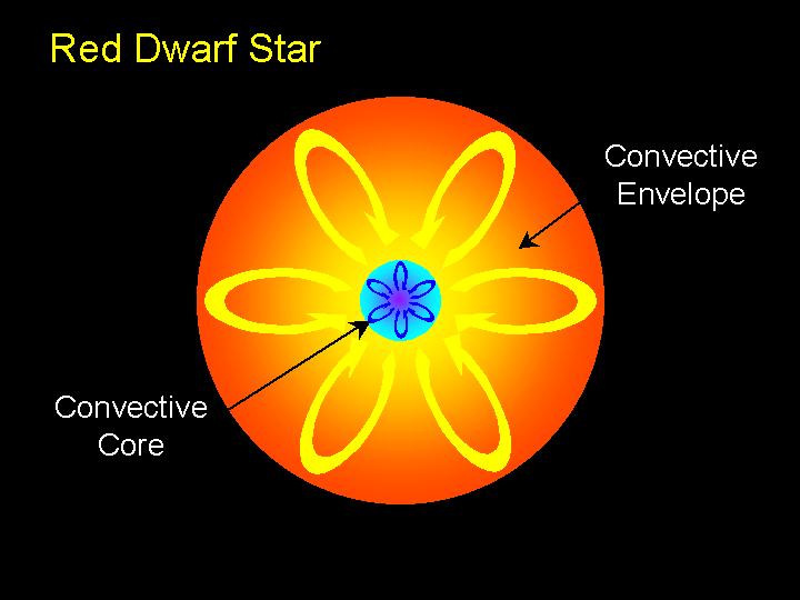 Nane Rosse: 0.08 MSole < M < 0.4 MSole Interno totalmente convettivo, He prodotto dalla fusione uniformemente distribuito. Tutto l H è convertito in He, poi la fusione si ferma.