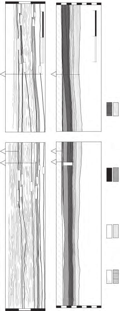 81 SSO (a) 0 NNE SO NE 1 2 3 (b) 0 2 4 6 8 Sud Alpino pozzo Venezia 1 pozzi Lido 1/ Lido S Appennini Ciglio della piattaforma mesozoica Friulana profilo ovest Pleistocene Pliocene inferiore