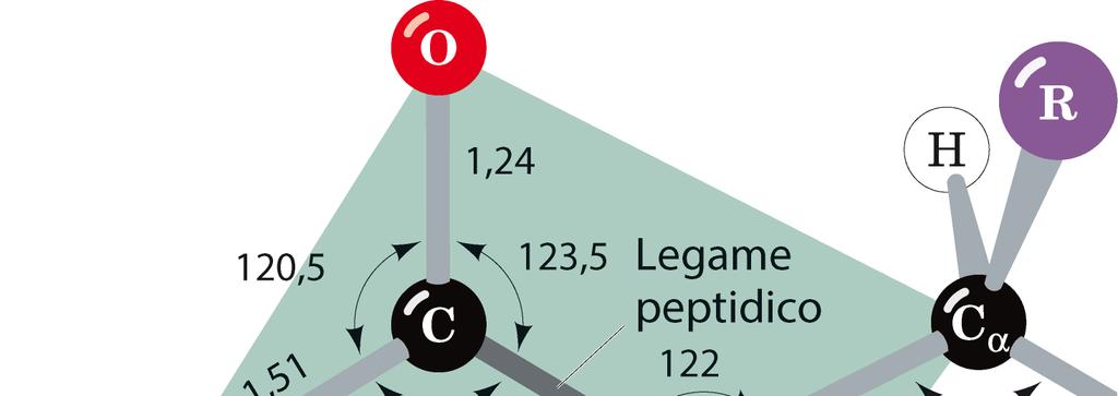 legami